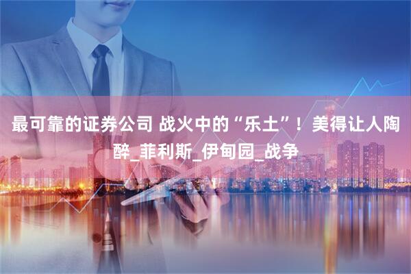 最可靠的证券公司 战火中的“乐土”！美得让人陶醉_菲利斯_伊甸园_战争