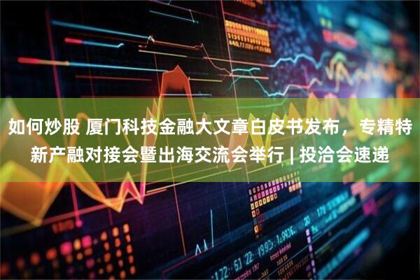 如何炒股 厦门科技金融大文章白皮书发布,专精特新产融对接会暨出海交流会举行 | 投洽会速递